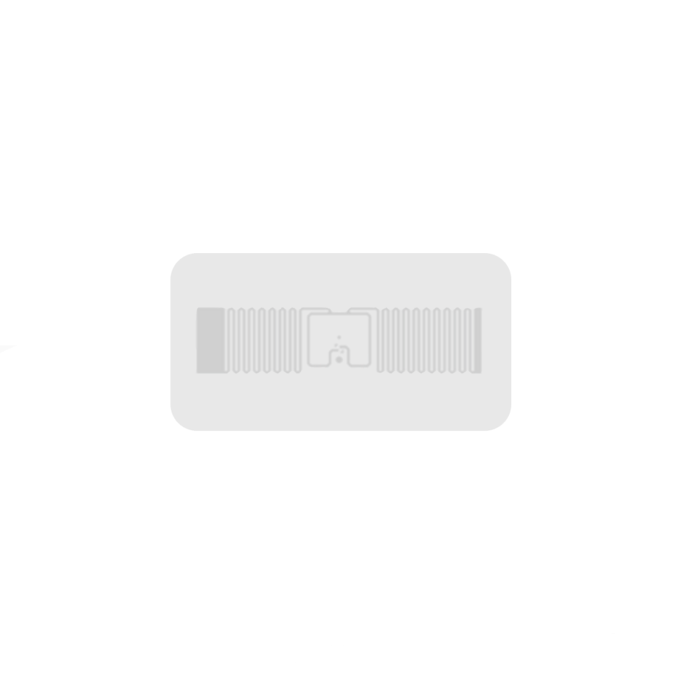 Etichetta RFID LB001